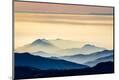Premium Photographic Print