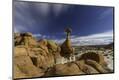 Premium Photographic Print
