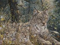 Cat Family-Jeff Tift-Giclee Print