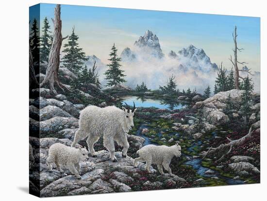 Stretched Canvas Print, , large