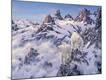 Premium Giclee Print