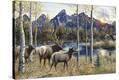 Stretched Canvas Print