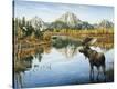 Stretched Canvas Print