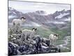 Premium Giclee Print