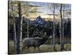 Stretched Canvas Print