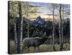 Stretched Canvas Print