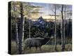 Stretched Canvas Print