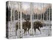 Stretched Canvas Print
