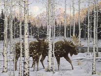 Forest Twilight-Jeff Tift-Giclee Print