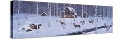 Stretched Canvas Print