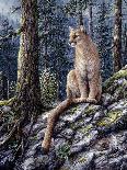 Forest Twilight-Jeff Tift-Giclee Print