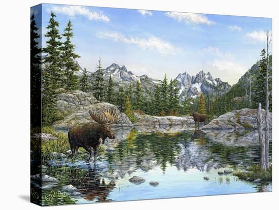 Stretched Canvas Print, , large