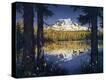 Stretched Canvas Print