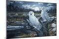 Premium Giclee Print