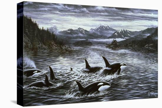 Stretched Canvas Print, , large