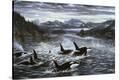 Stretched Canvas Print