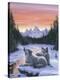 Stretched Canvas Print