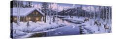 Stretched Canvas Print