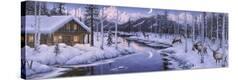 Stretched Canvas Print