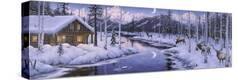 Stretched Canvas Print