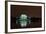 Jefferson Memorial at Night, Washington DC-sborisov-Framed Photographic Print