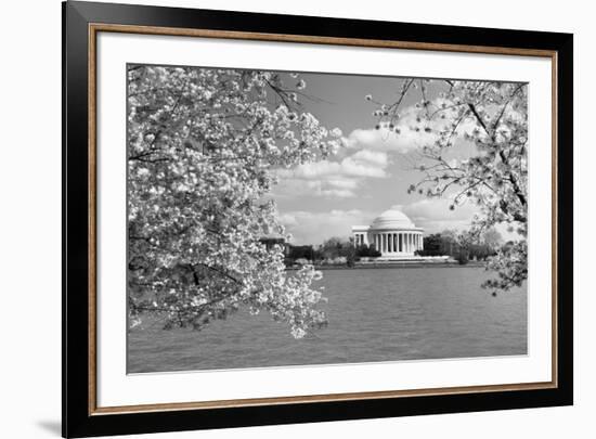 Jefferson Memorial with cherry blossoms, Washington, D.C. - Black and White Variant-Carol Highsmith-Framed Art Print