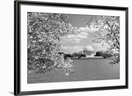 Jefferson Memorial with cherry blossoms, Washington, D.C. - Black and White Variant-Carol Highsmith-Framed Art Print