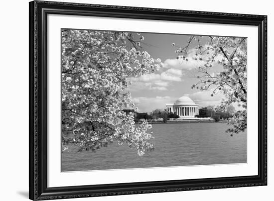 Jefferson Memorial with cherry blossoms, Washington, D.C. - Black and White Variant-Carol Highsmith-Framed Art Print