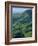 Jefferson National Forest, Virginia, USA-Charles Gurche-Framed Photographic Print