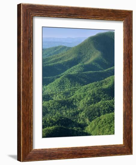 Jefferson National Forest, Virginia, USA-Charles Gurche-Framed Photographic Print