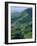 Jefferson National Forest, Virginia, USA-Charles Gurche-Framed Photographic Print