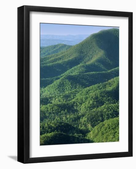 Jefferson National Forest, Virginia, USA-Charles Gurche-Framed Photographic Print
