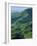 Jefferson National Forest, Virginia, USA-Charles Gurche-Framed Photographic Print