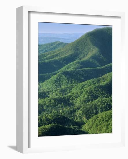 Jefferson National Forest, Virginia, USA-Charles Gurche-Framed Photographic Print