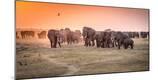 Photographic Print