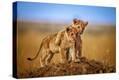 Stretched Canvas Print