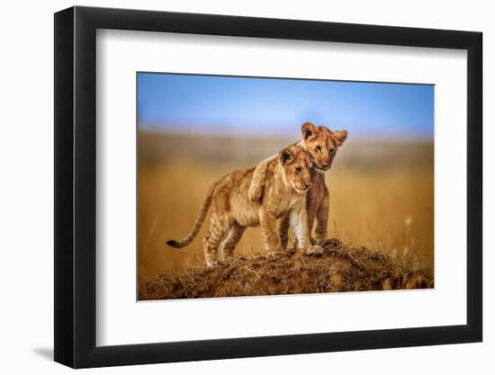 Photographic Print, , large