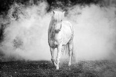 Icelandic pony-Jeffrey C. Sink-Photographic Print