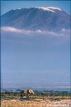 Kilimanjaro and the Quiet Sentinels-Jeffrey C. Sink-Framed Photographic Print