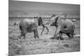 Photographic Print