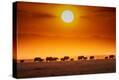 Stretched Canvas Print