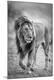 Photographic Print