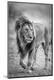 Photographic Print