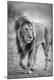 Premium Photographic Print