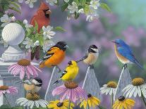 Bluebirds and Spring Blossoms-Jeffrey Hoff-Photographic Print