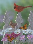 Cardinal Spring Blossoms-Jeffrey Hoff-Photographic Print