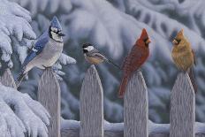 Winter Birds-Jeffrey Hoff-Giclee Print