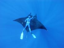 Diver Holds on to Giant Manta Ray, Mexico-Jeffrey Rotman-Premier Image Canvas