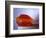 Jello Impact-Alan Sailer-Framed Photographic Print