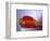 Jello Impact-Alan Sailer-Framed Photographic Print